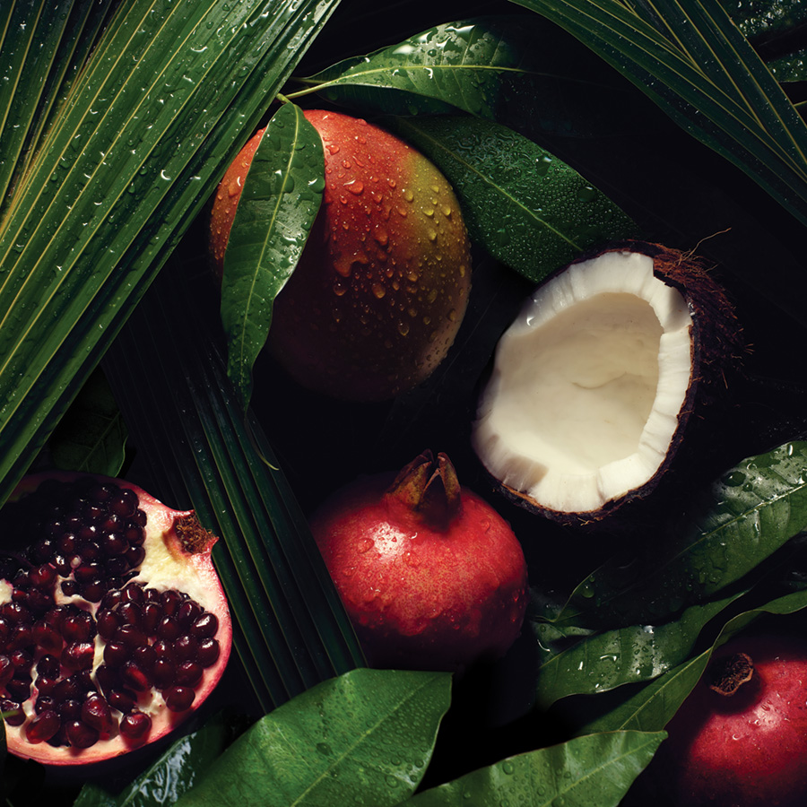 Aveda image of green leaves, ferns, coconut, mango and pomegranates with mist
